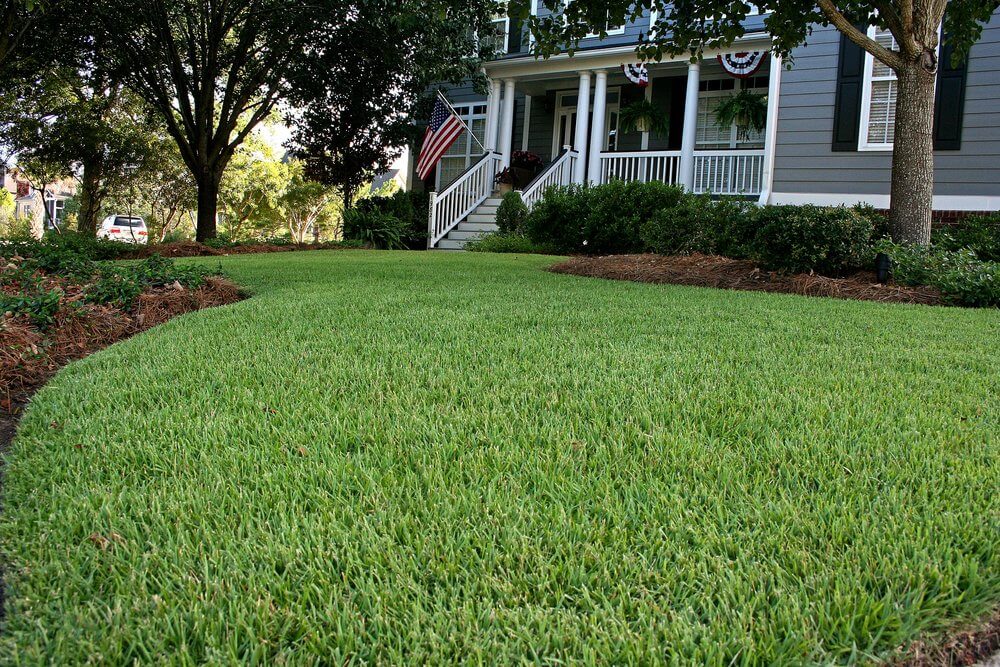 JaMur® Zoysia Installation