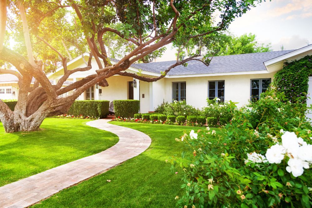 The Essential Guide To Landscaping Supplies