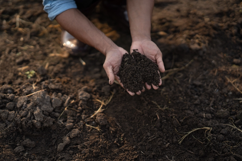 Exploring the Benefits of Soils and Compost for Your Garden